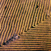Farmland - Triangle Harvest, Plains of San Augustin
