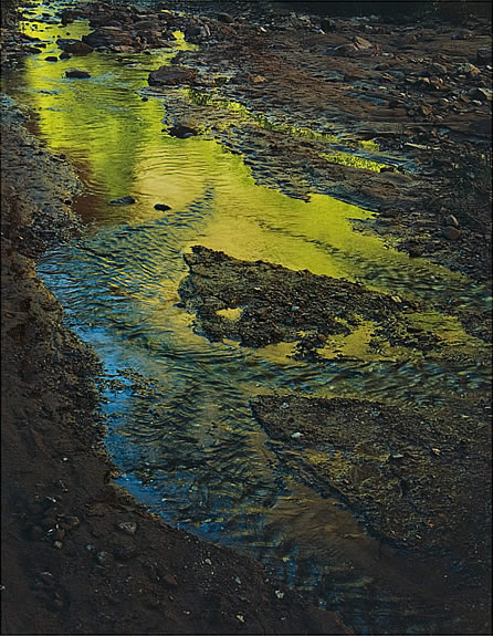 Green Reflections in Stream, Moqui Creek, Glen Canyon, Utah