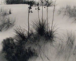Weston - Untitled (White Sands, New Mexico)