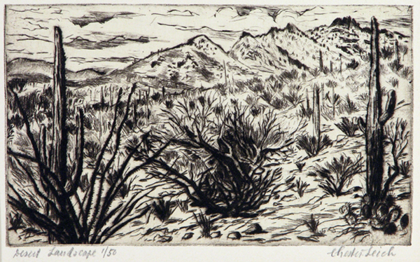Desert Landscape - Leich