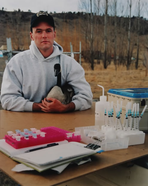 Matte Coles researches his chemical methods to reduce overabundant Canada goose population